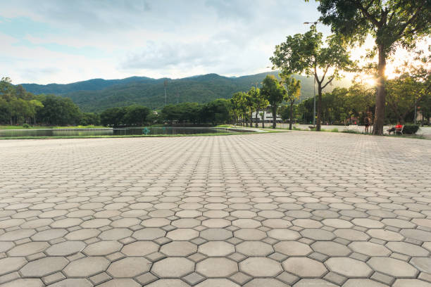 Best Residential Paver Driveway  in Iowa, LA
